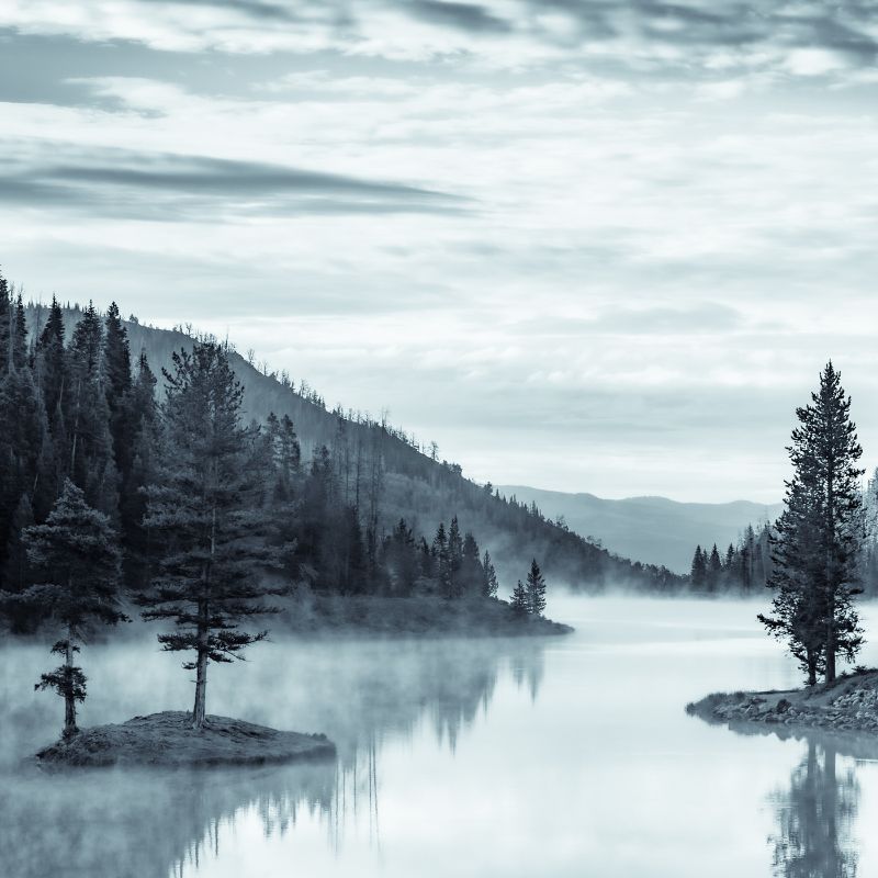 Mist on the Lake II