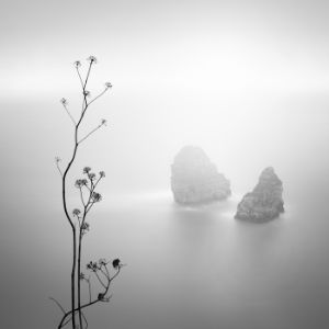 AM030-A-36x36