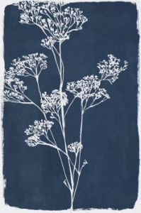 Botanical Shadow II