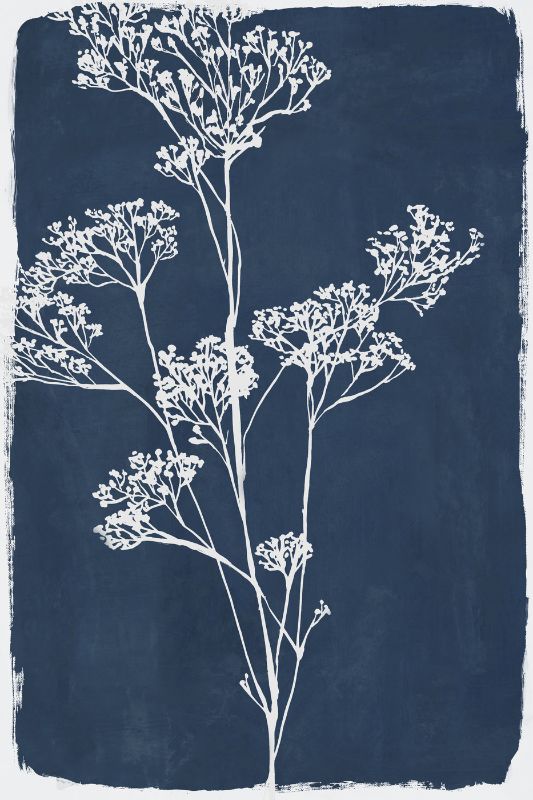 Botanical Shadow II
