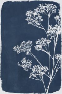 Botanical Shadow I