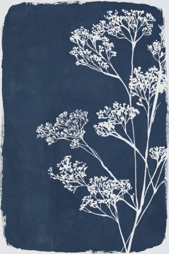 Botanical Shadow I