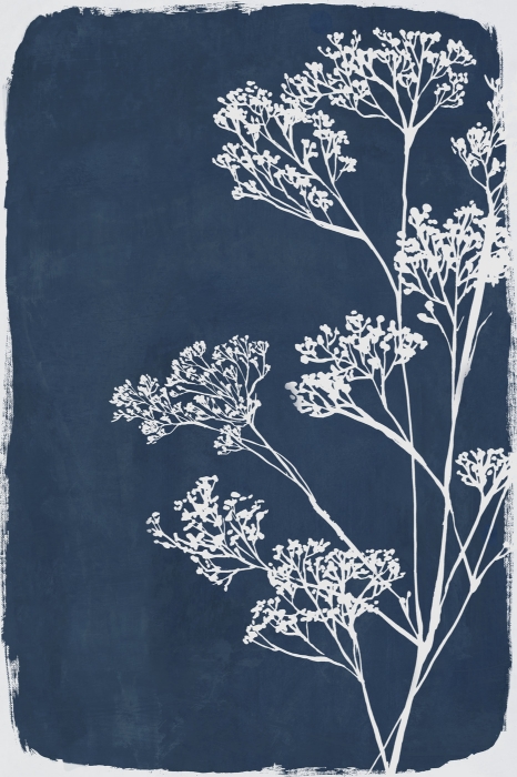 Botanical Shadow I