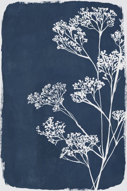 Botanical Shadow I