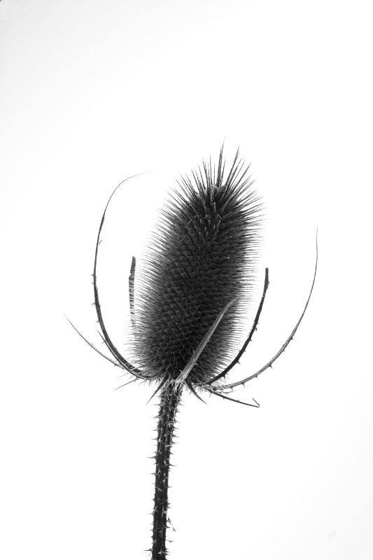DP070-A-24x36