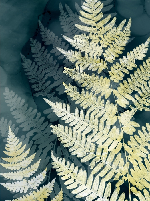 Leaf Study III
