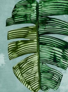 Textured Tropics