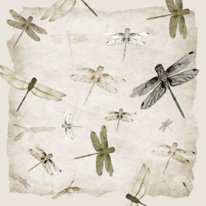 ragonflies 18x18