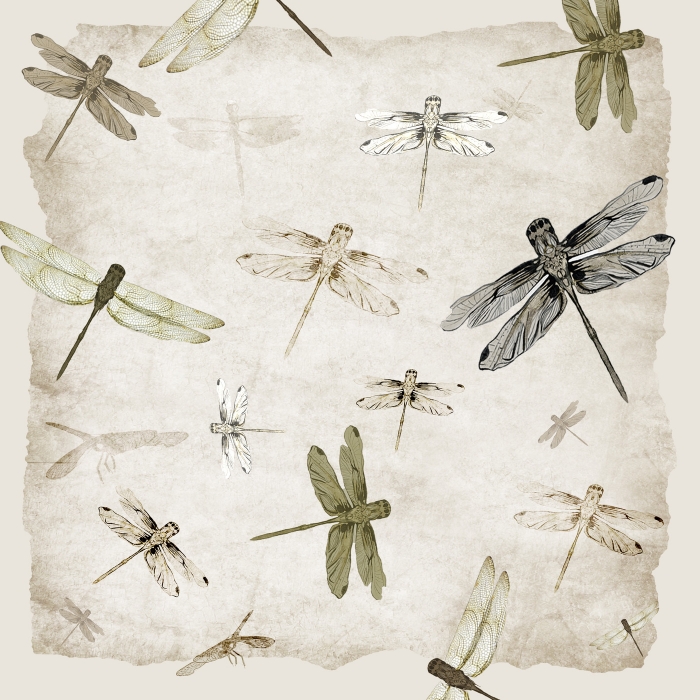ragonflies 18x18