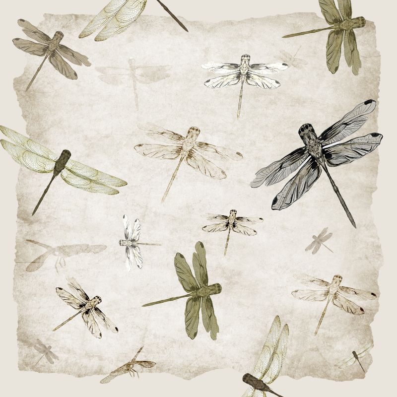 ragonflies 18x18