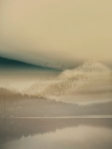 HN141-A-30x40