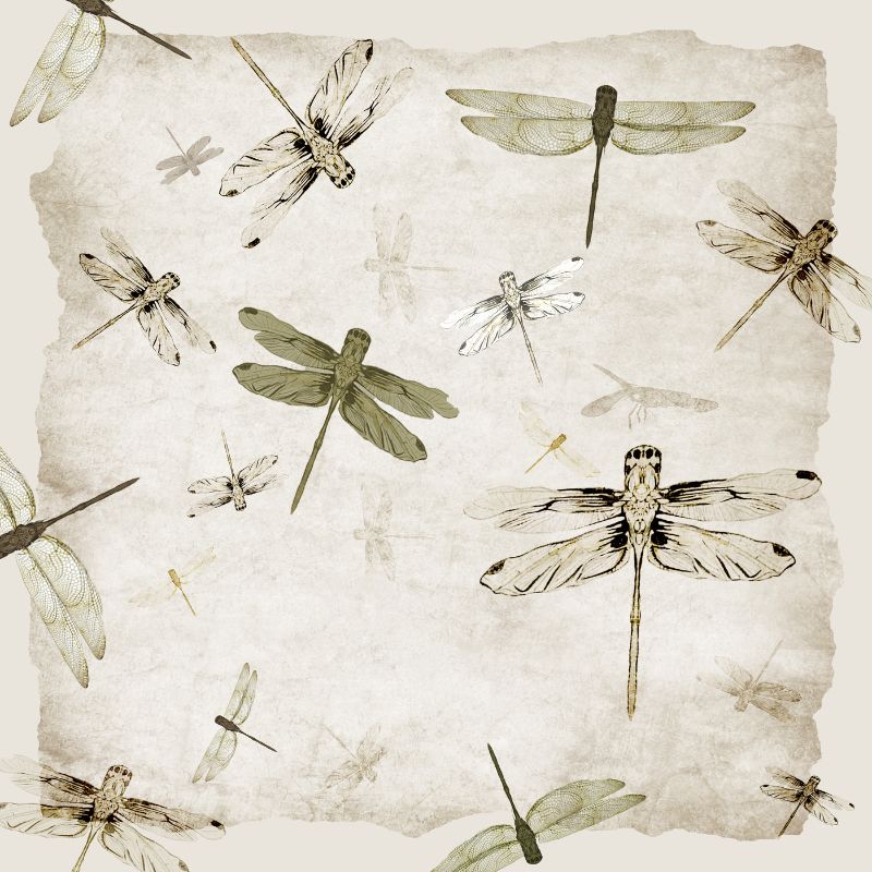 dragonflies partner 18x18