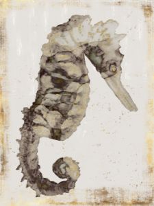 Guilded Seahorse 24x18